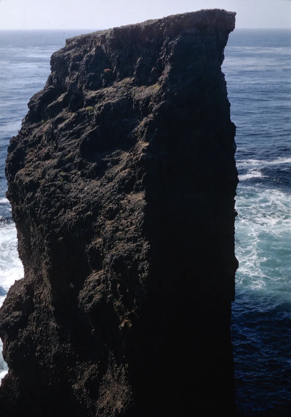 Webster Rock, Santa Barbara Island