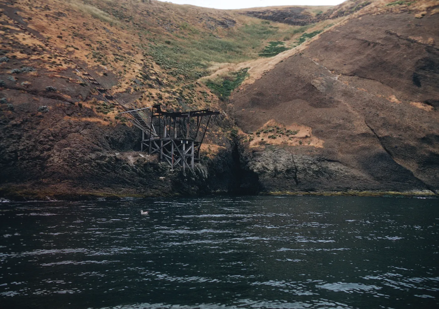 dock at Landing Cove, Santa Barbara Island