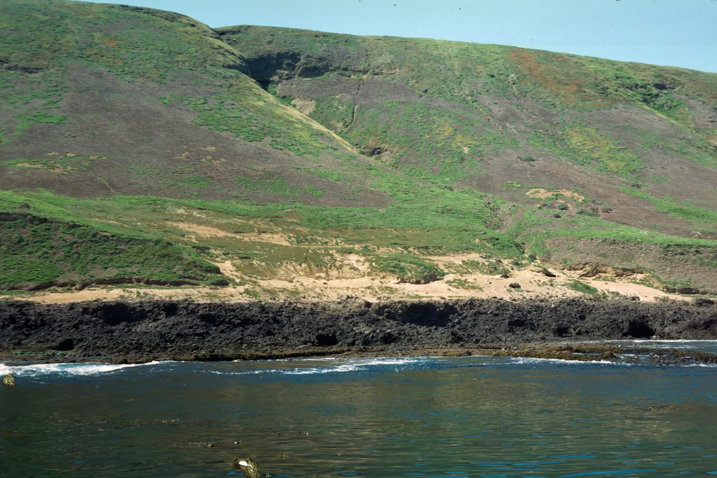 old piniped hauling ground, Santa Barbara Island