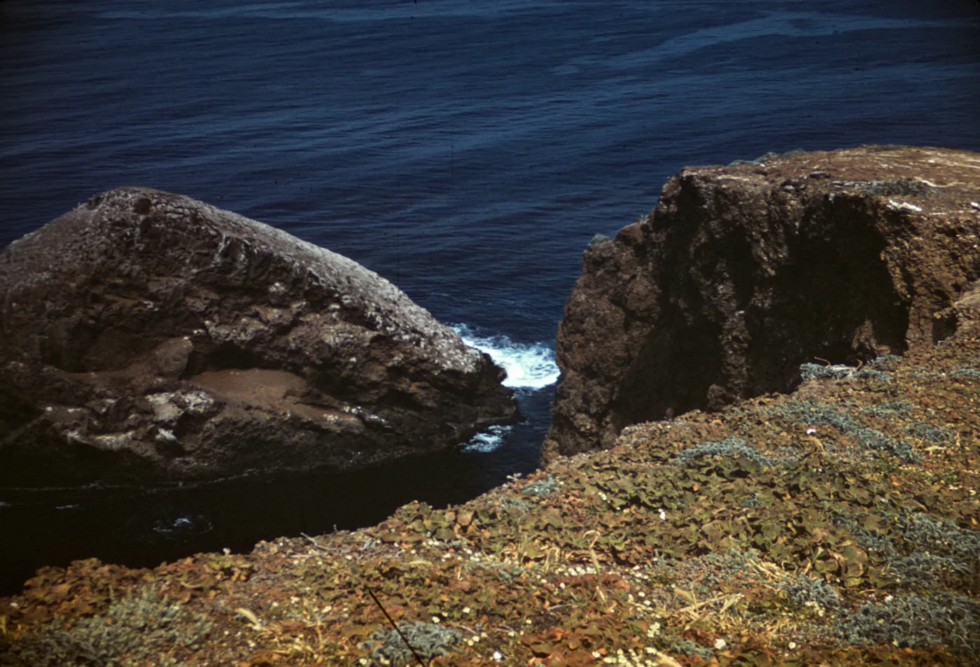 Shag Rock, North Coast Inlet, Santa Barbara Island 