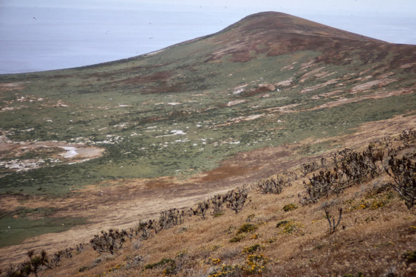 Santa Barbara Island, North Peak