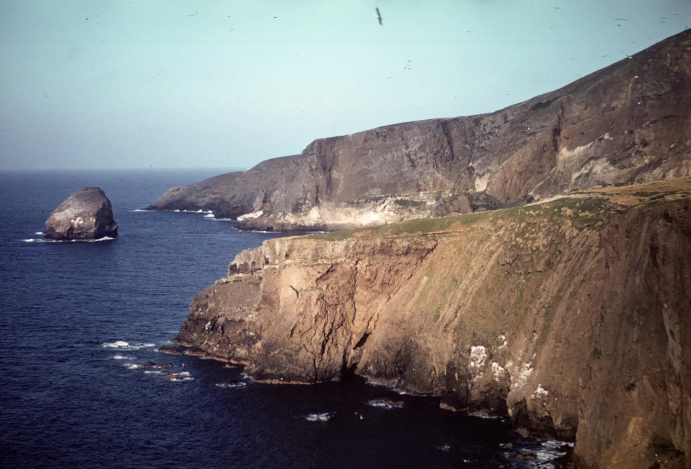 Santa Barbara Island North Coast