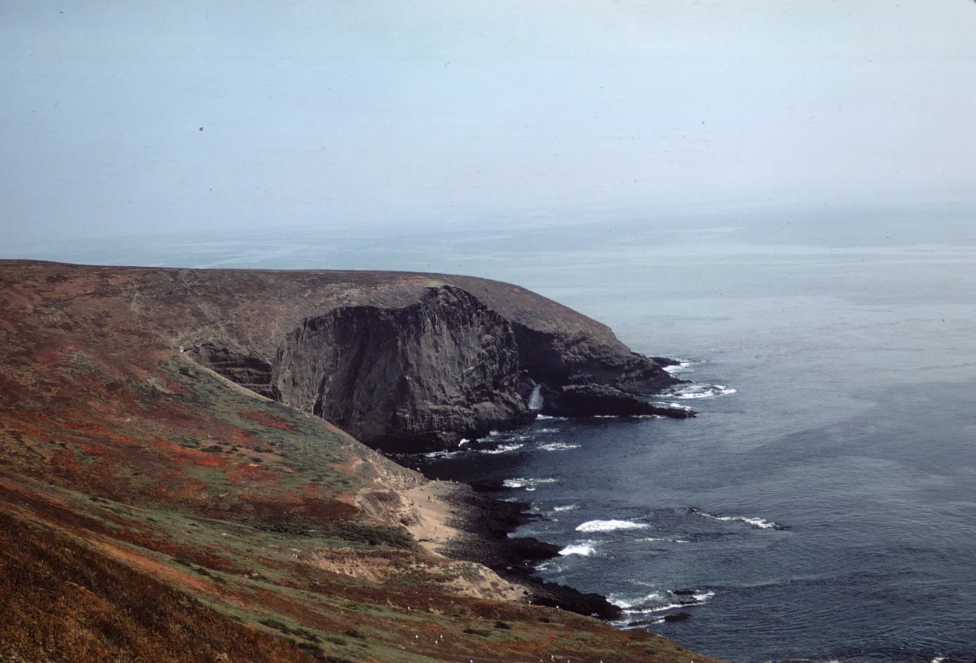 Santa Barbara Island, Eastern Shore