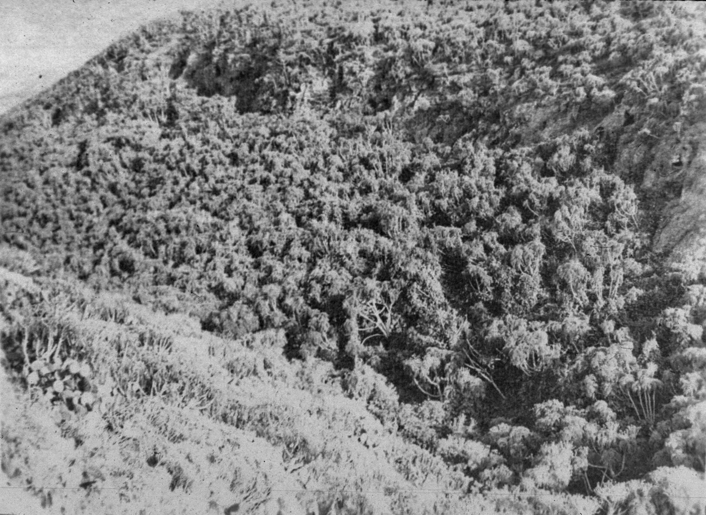 Santa Barbara Island, Cave Canyon
