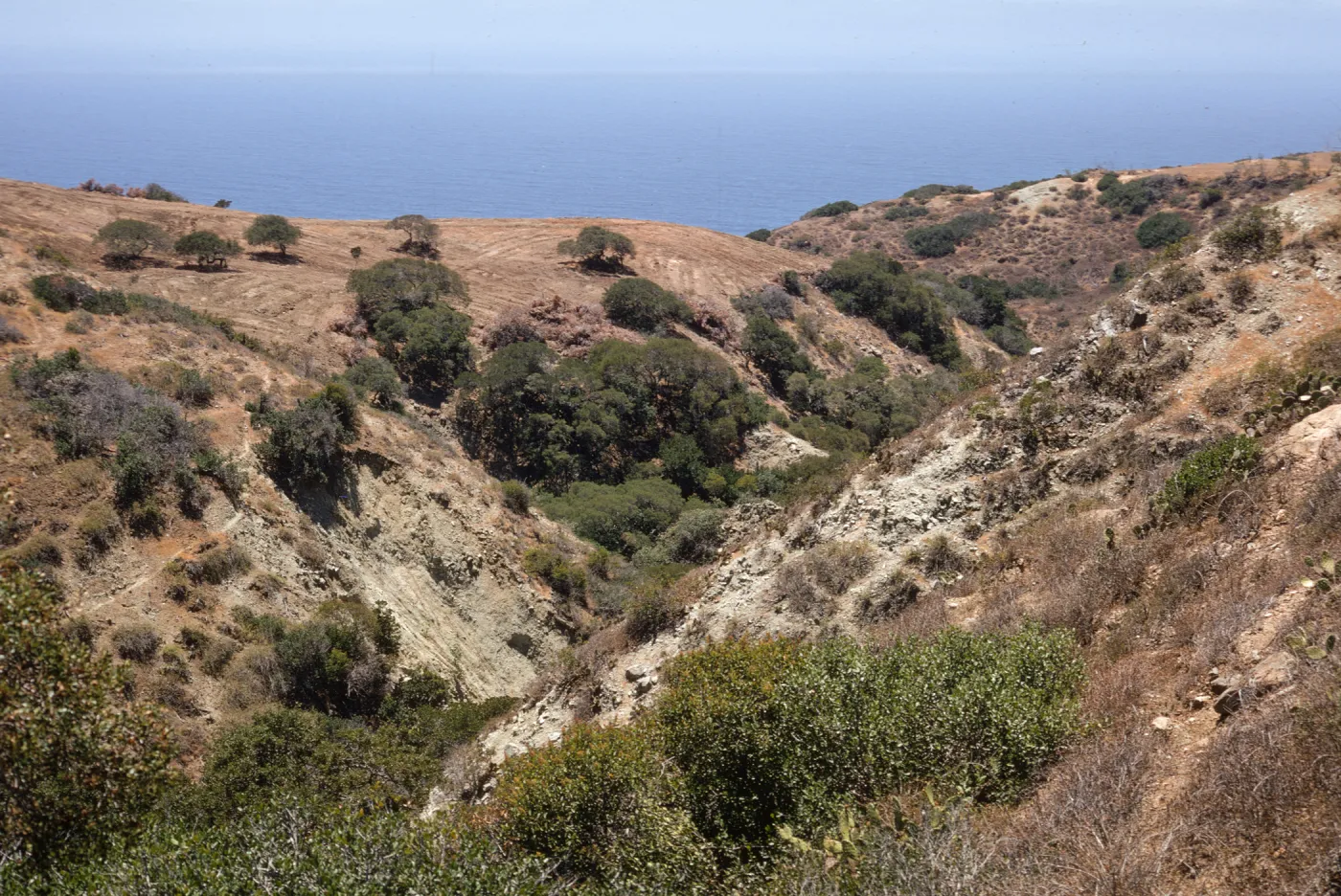 Santa Catalina Island
