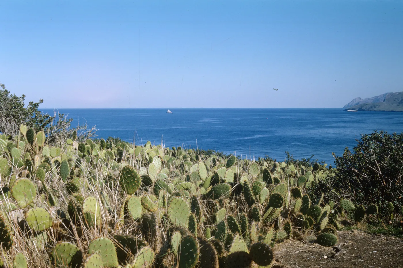 Santa Catalina Island, distant view of Ship Rock & Bird Rock (Prickly-pear)