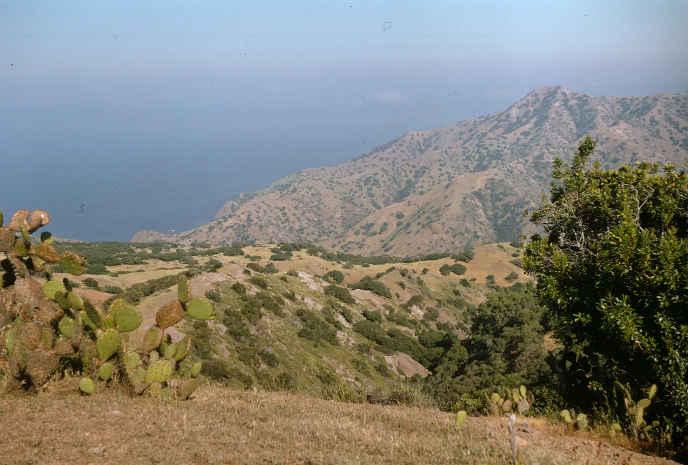 Santa Catalina Island