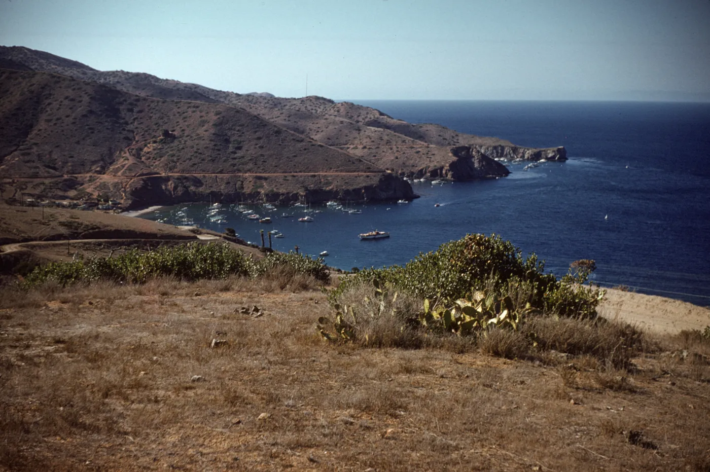 Isthmus Harbor, Santa Catalina Island