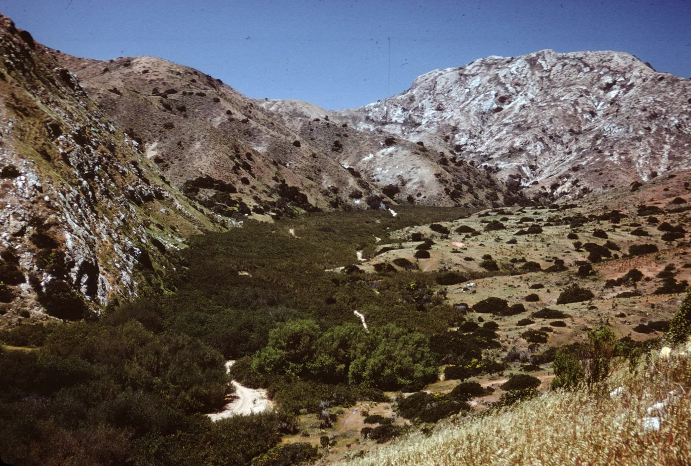 Willows Canyon to El Tigre Ridge on Santa Cruz Island