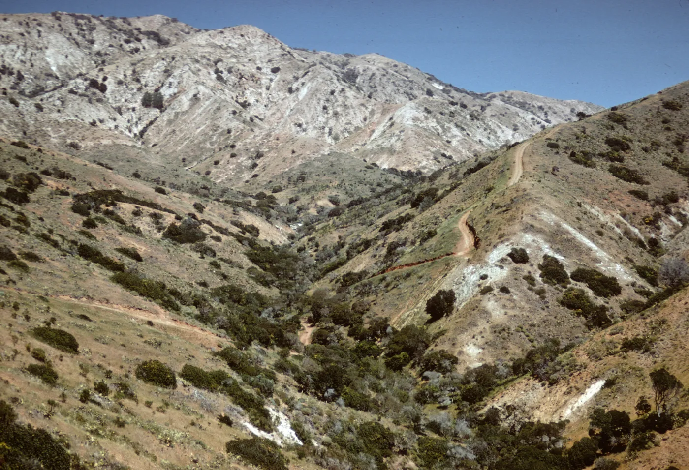San Justiniano Canyon on Santa Cruz Island