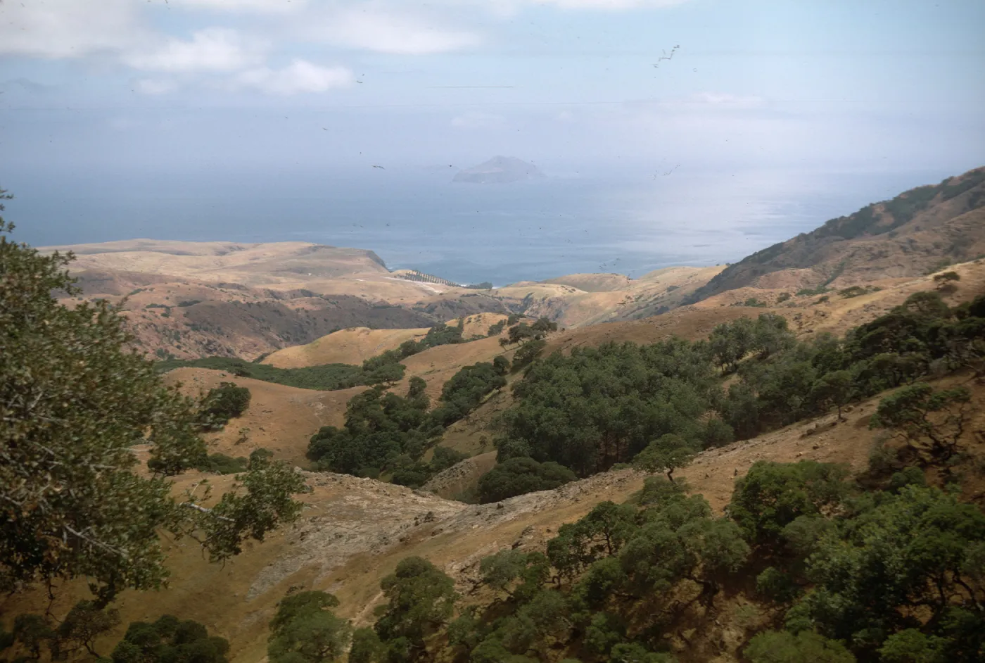 Smugglers Cove from Montanon Ridge with view of Anacapa Island