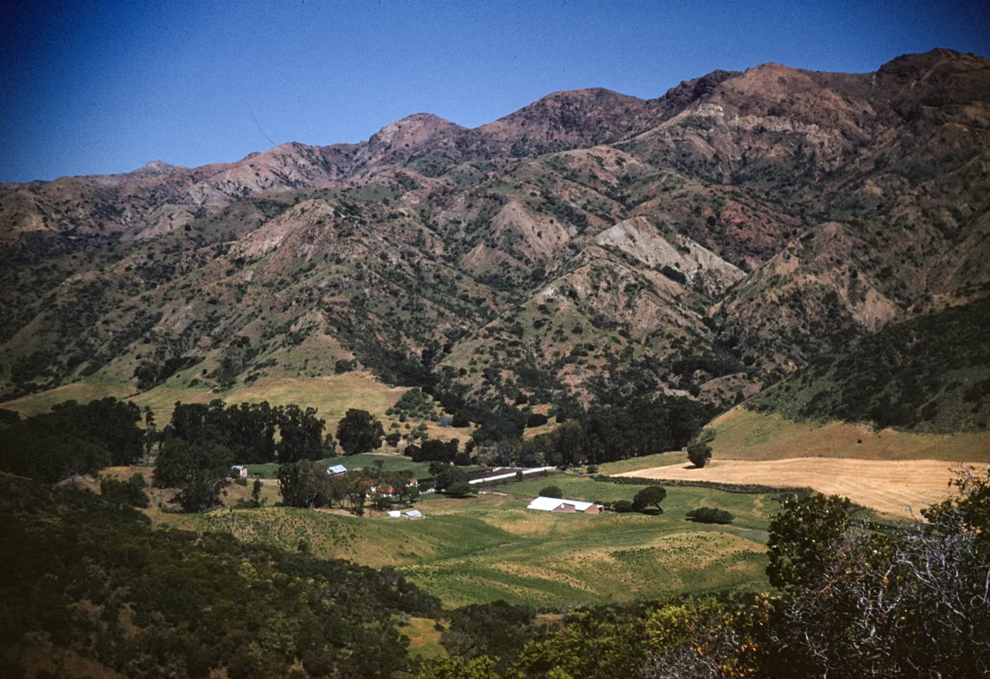 Santa Cruz Island, Stanton Ranch