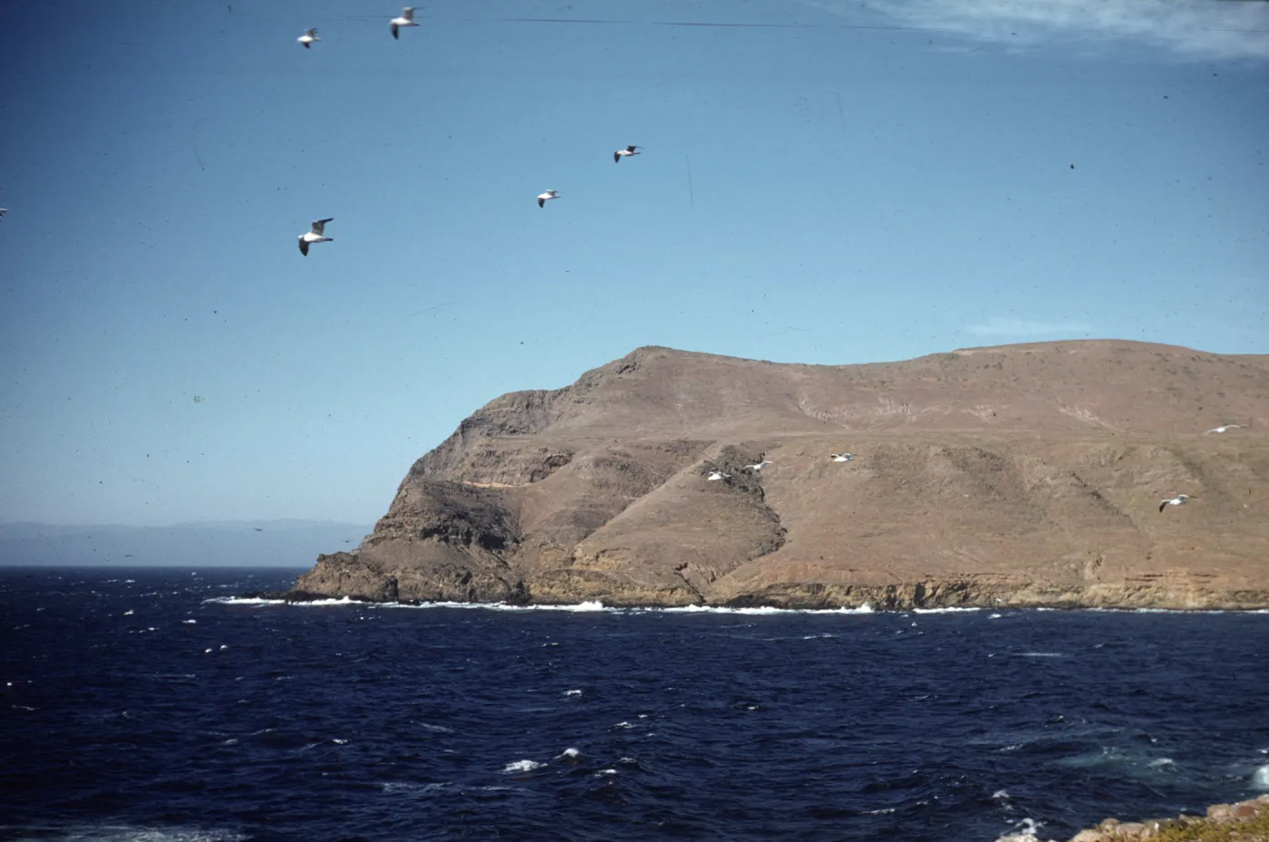 Santa Cruz Island, West Point