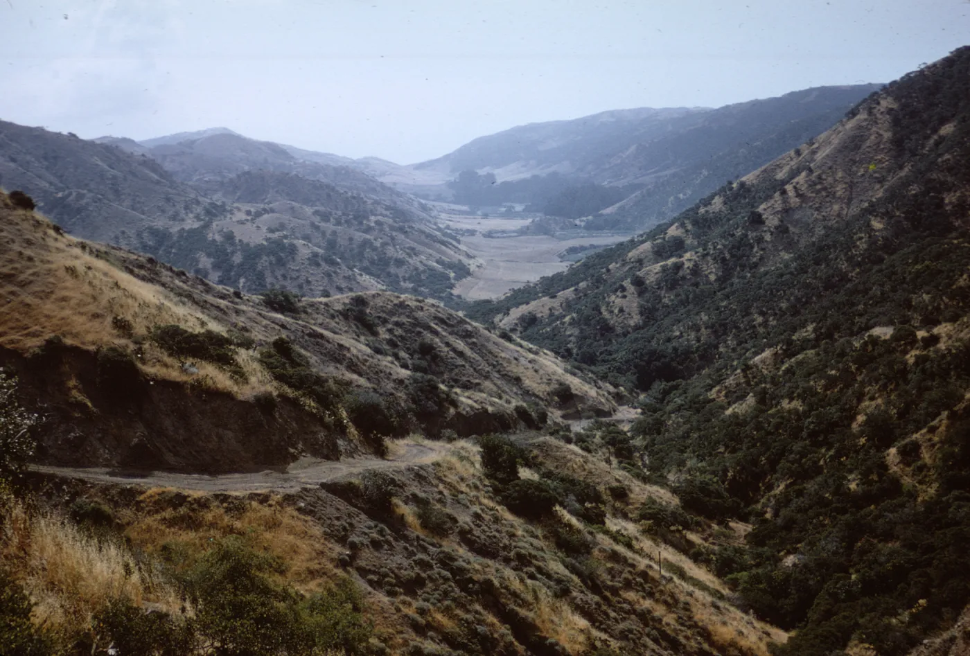 Santa Cruz Island, Central Valley