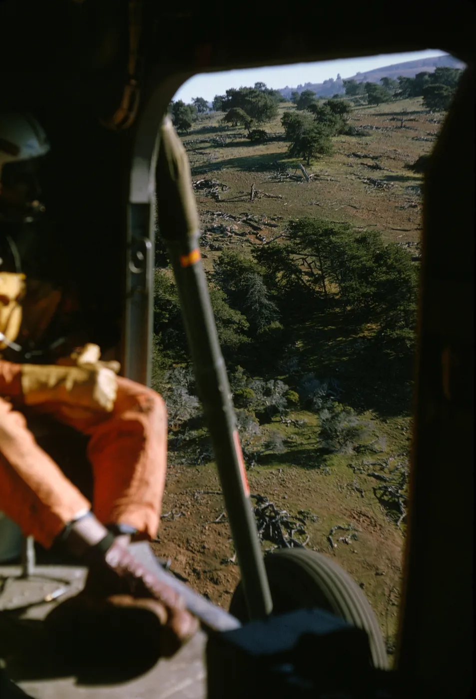 Santa Cruz Island from inside helicopter