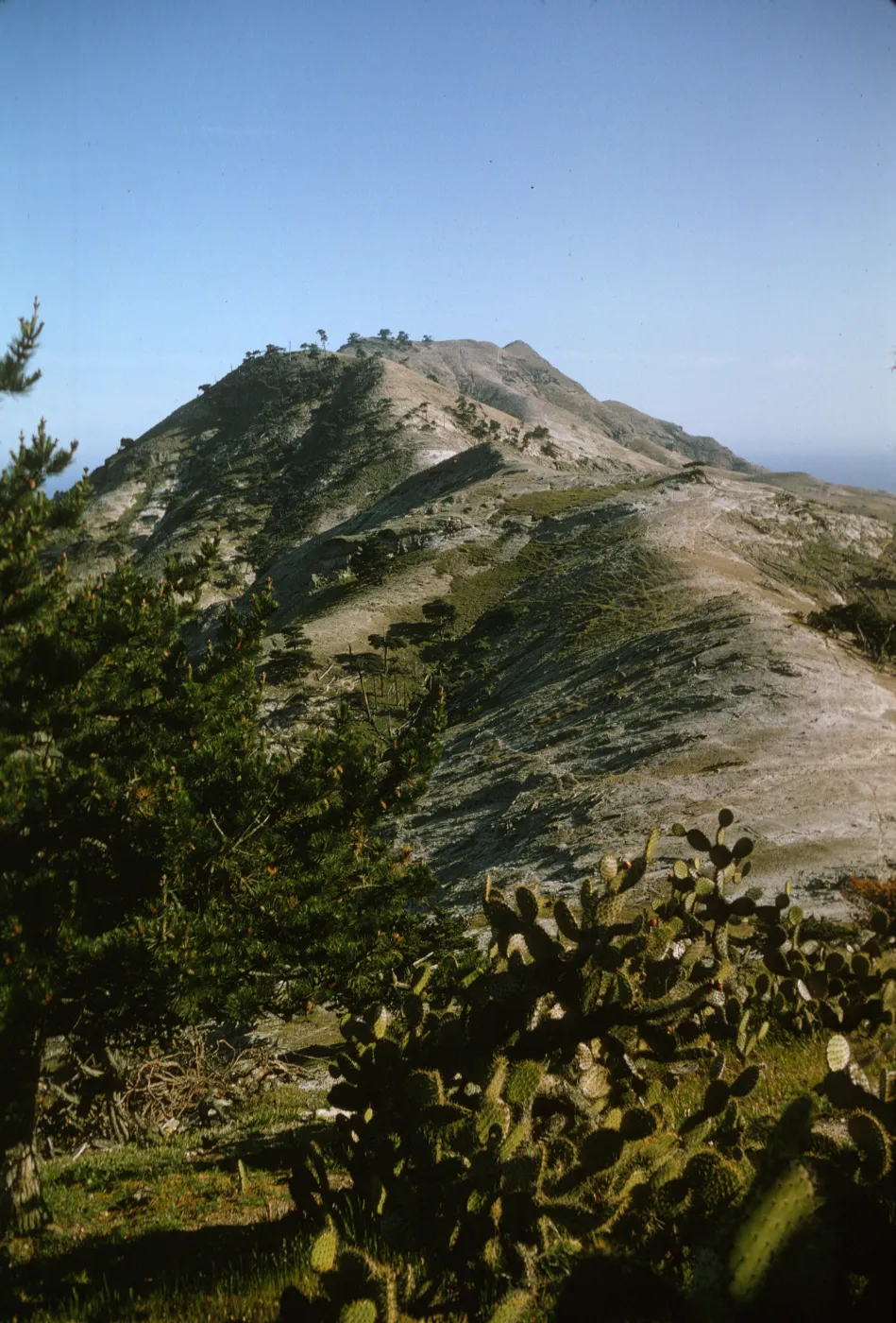 Santa Cruz Island, north side of Ragged Mountain