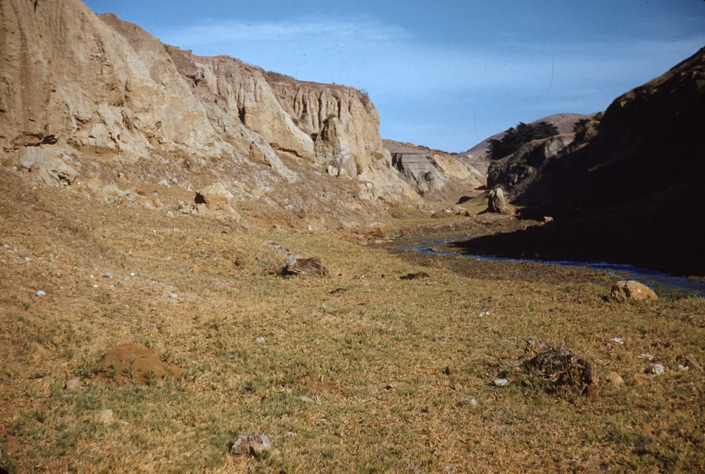 Canada de los Sauces with Fossil Tree Logs on Santa Cruz Island