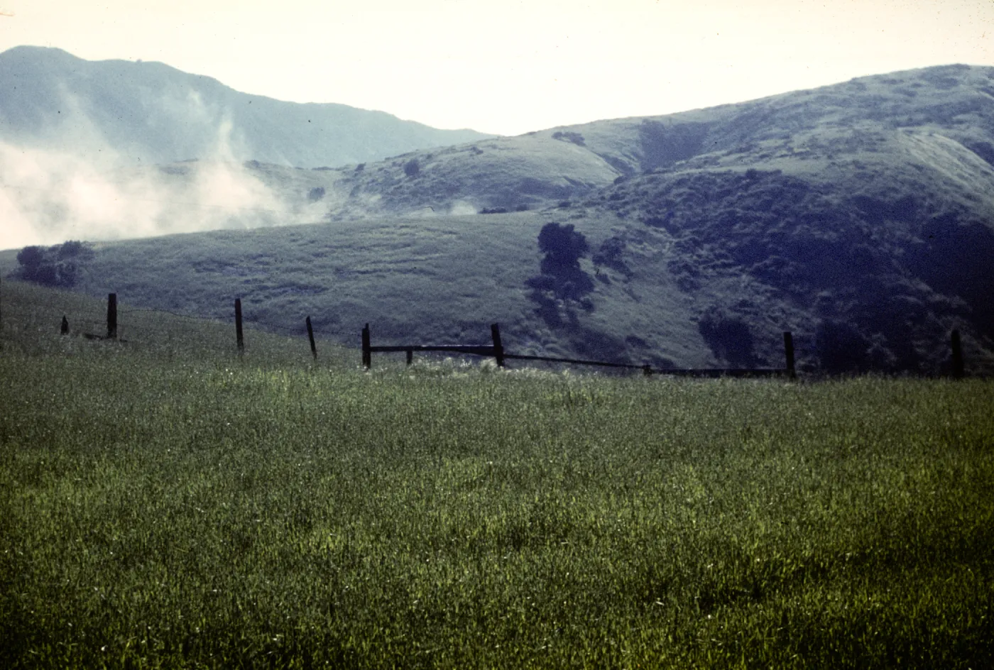 fog rolling in, east end of Santa Cruz Island