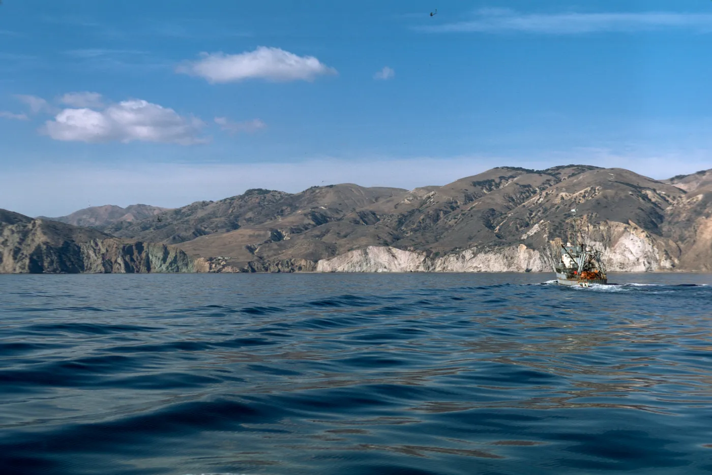 Valley Anchorage, Santa Cruz Island 1973, from boat