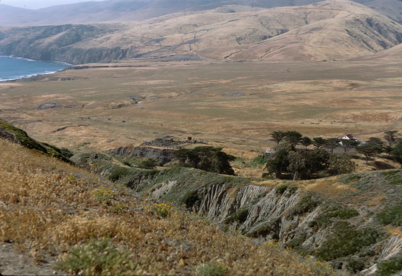 Santa Cruz Island, Christy Ranch