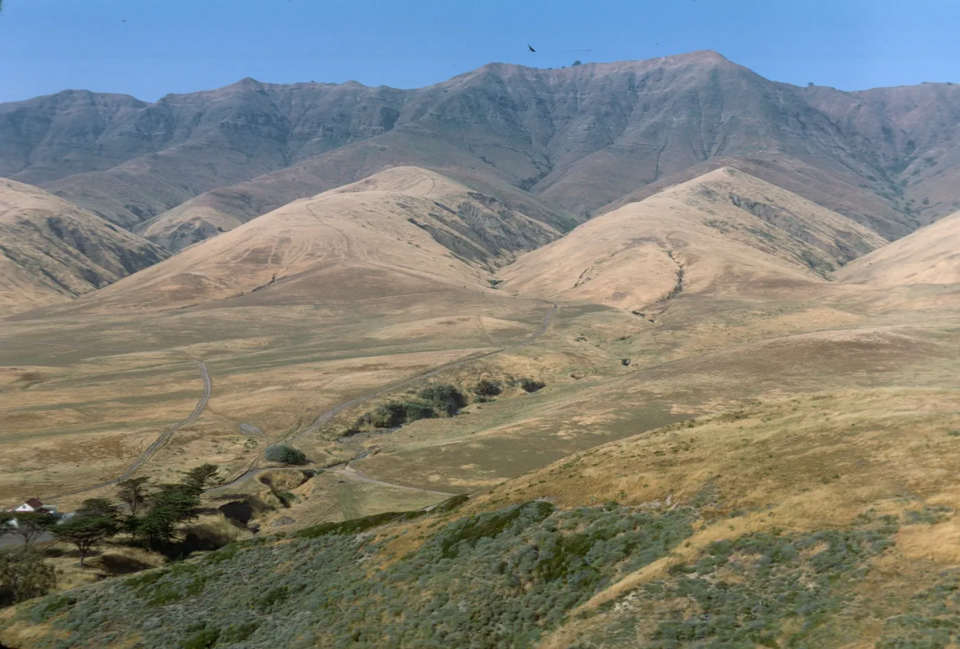 Santa Cruz Island, above Christy Ranch