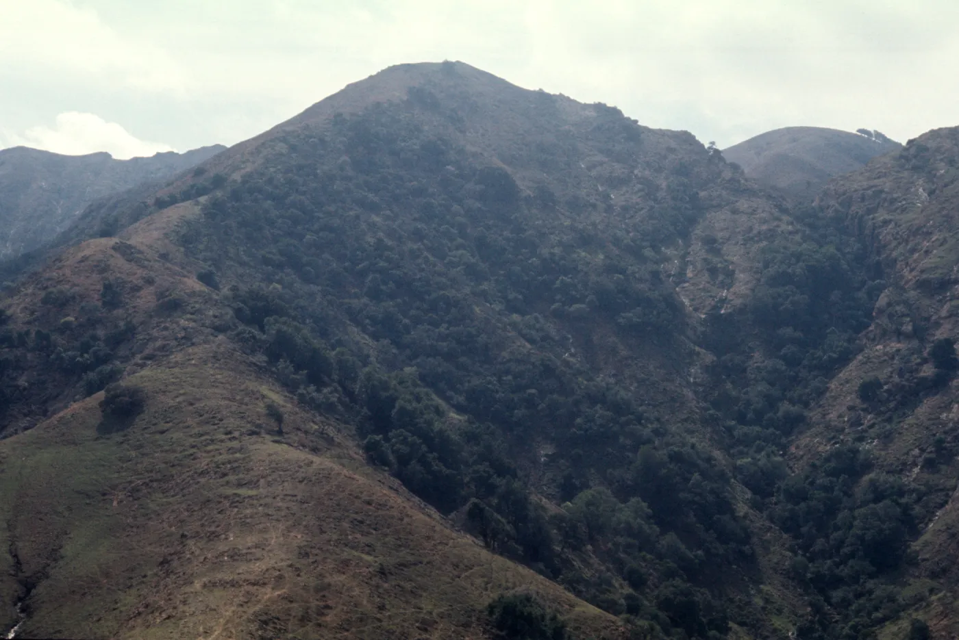 Santa Cruz Island