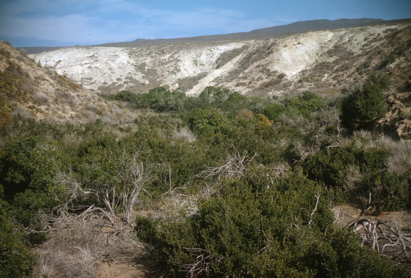 Horse Beach Canyon, San Clemente Island