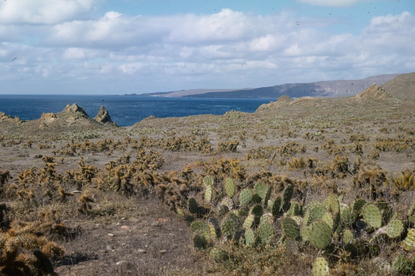 San Clemente Island, Pyramid Head to China Point
