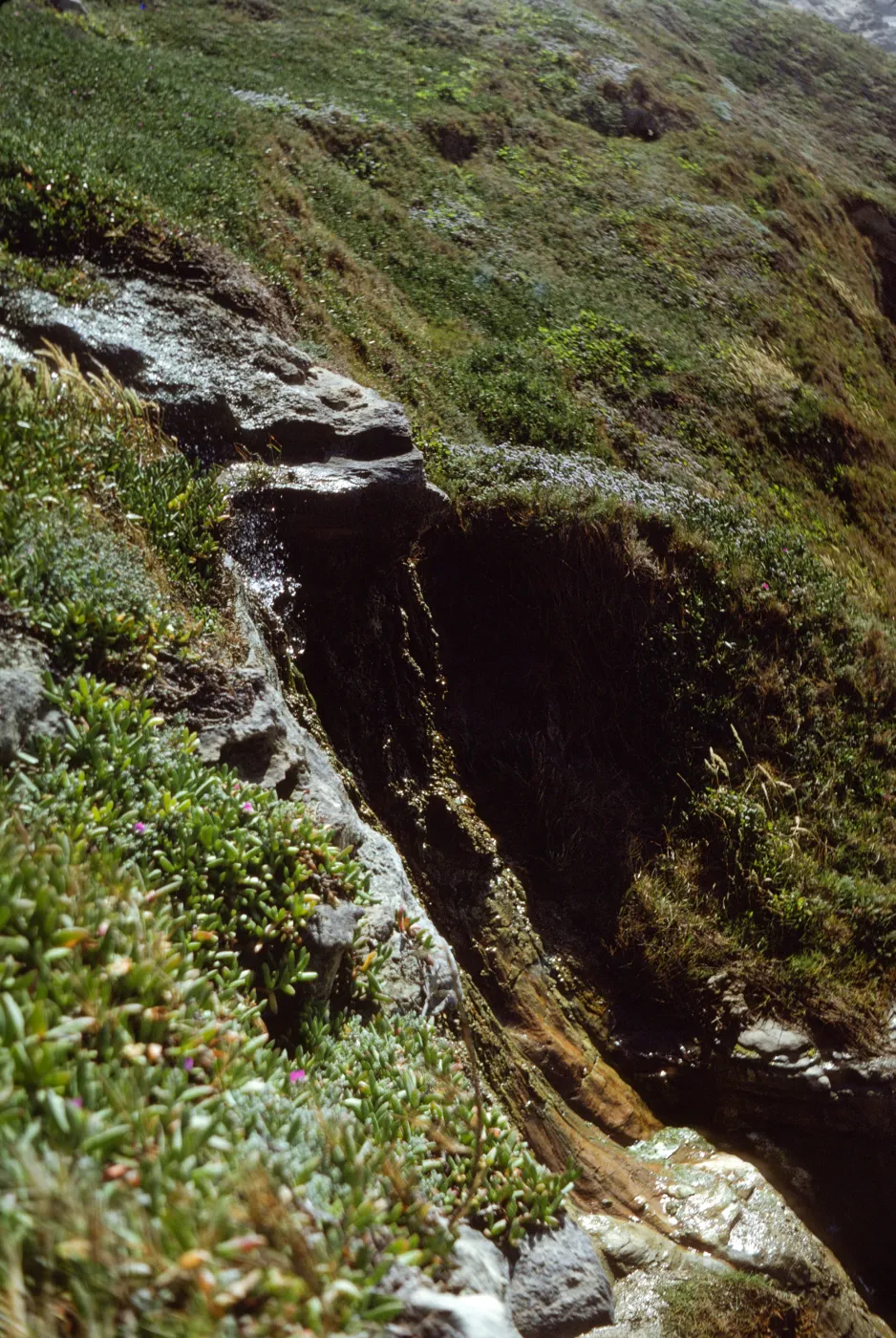 San Miguel Island, Otter Harbor peninsula