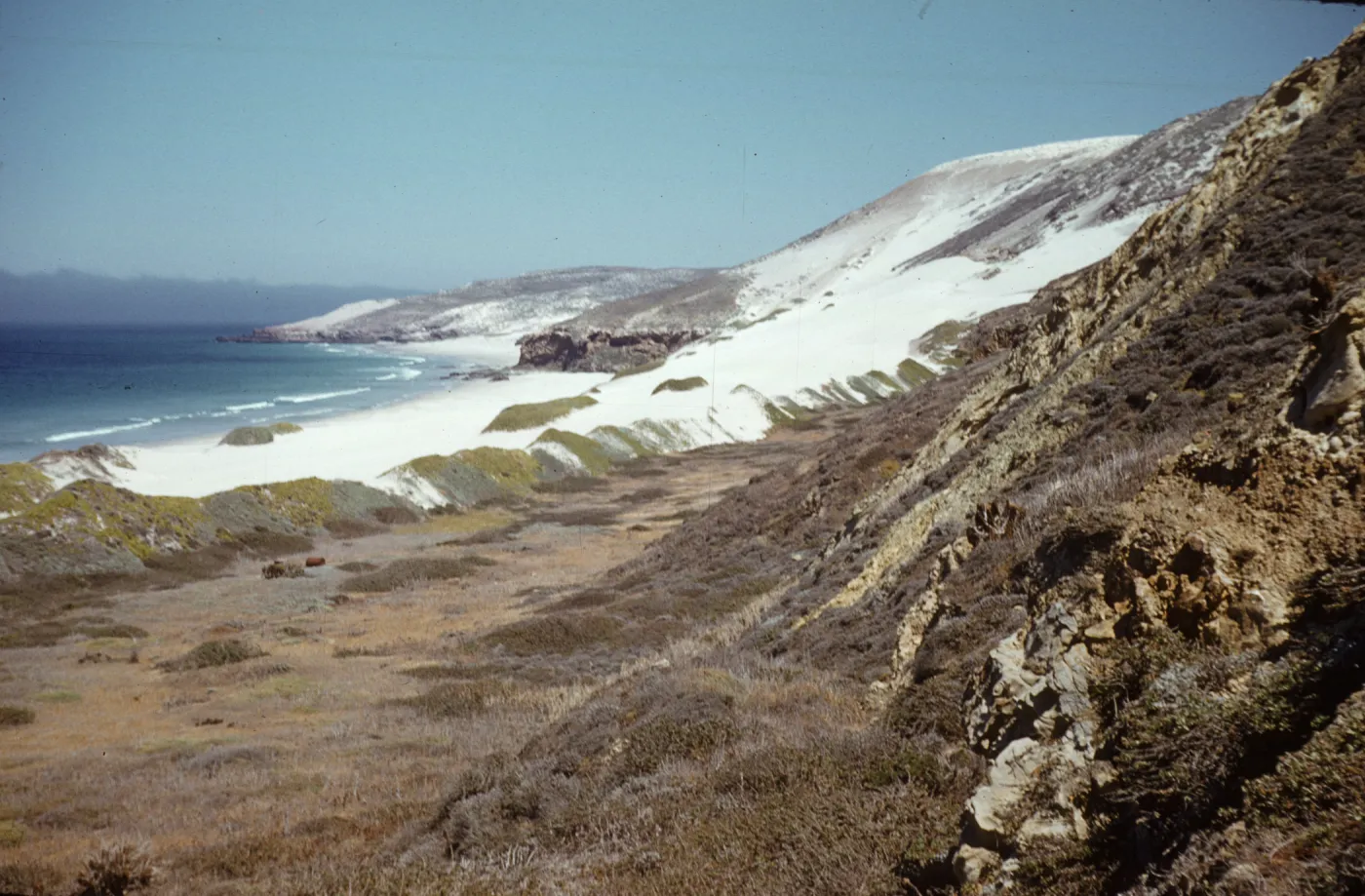 Beach dunes on San Miguel Island