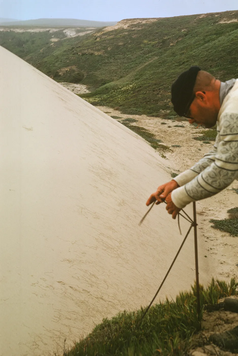 NPS dune transect, San Miguel Island, Willow Canyon