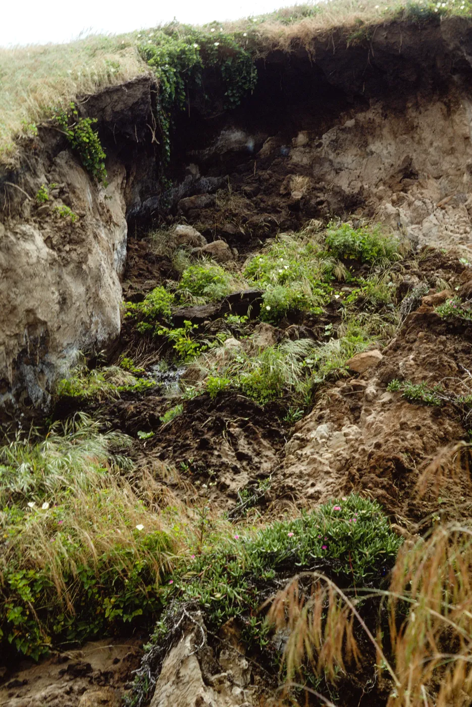 drainage slump, San Miguel Island