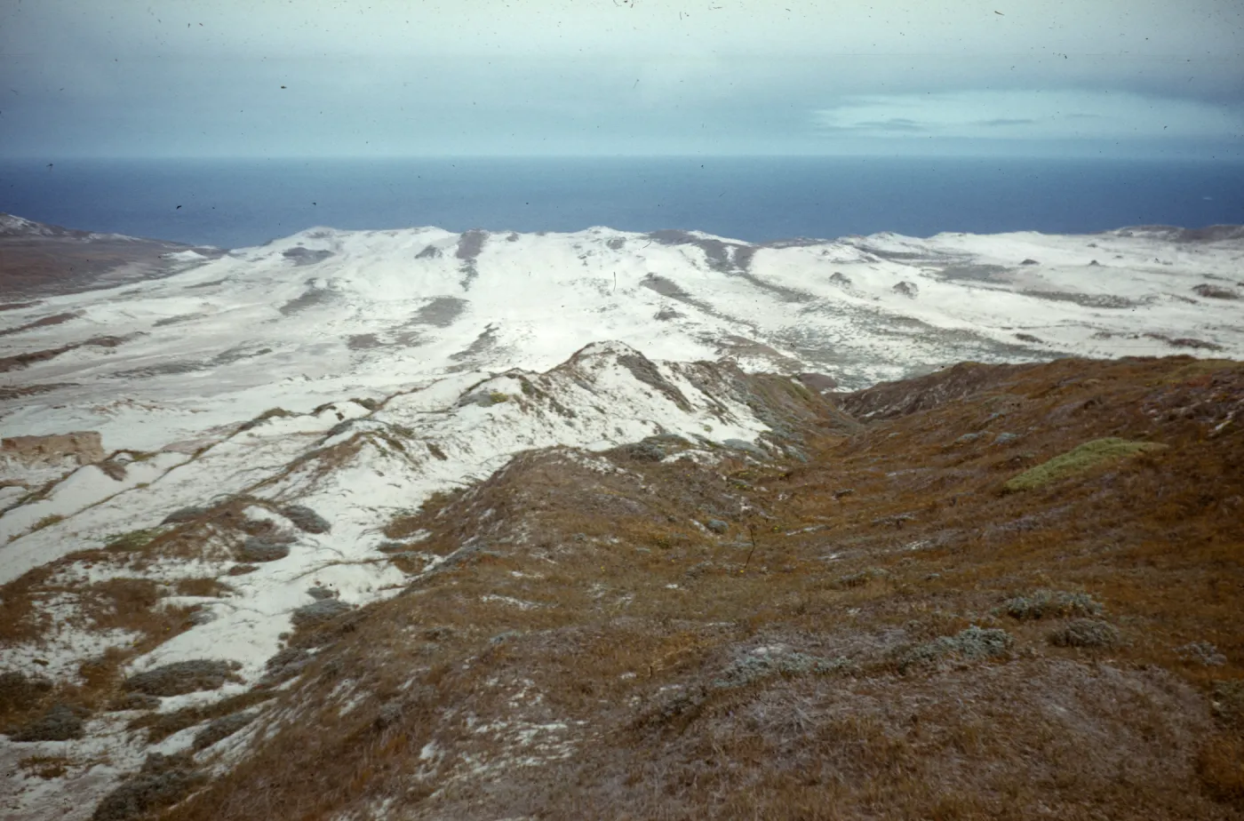 San Miguel Island, sand dunes
