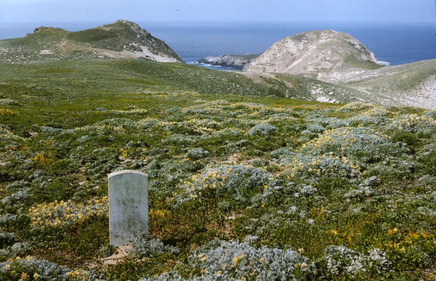 San Miguel Island, Lester grave, Harris Point
