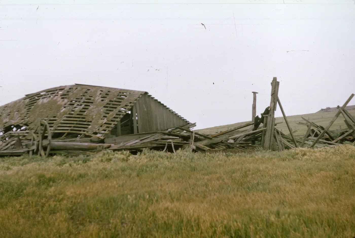Lester barn on San Miguel Island