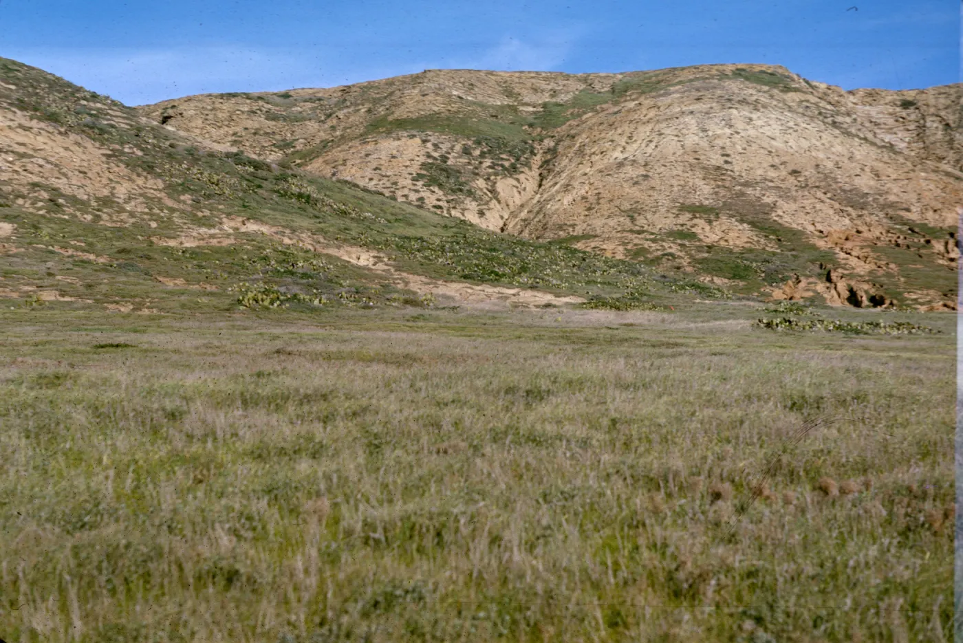 San Miguel Island
