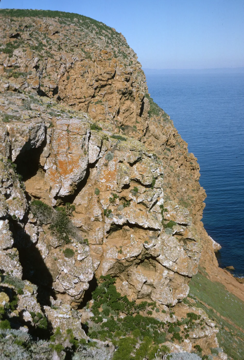 Eagle Point on San Miguel Island