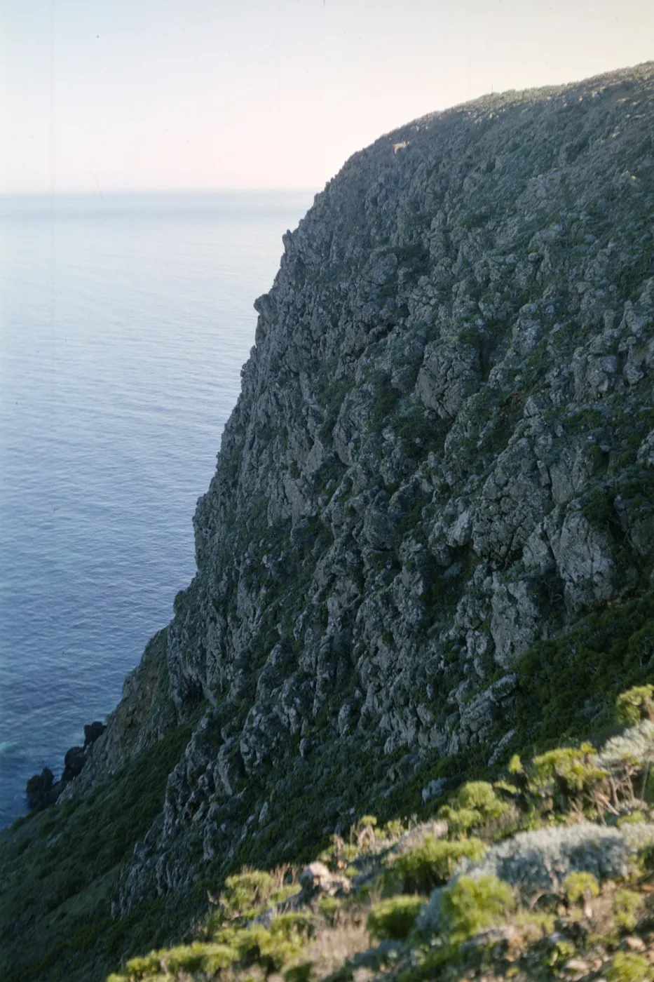 Hoffman Point on San Miguel Island