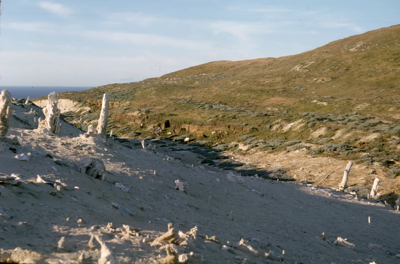 Concretions on San Miguel Island