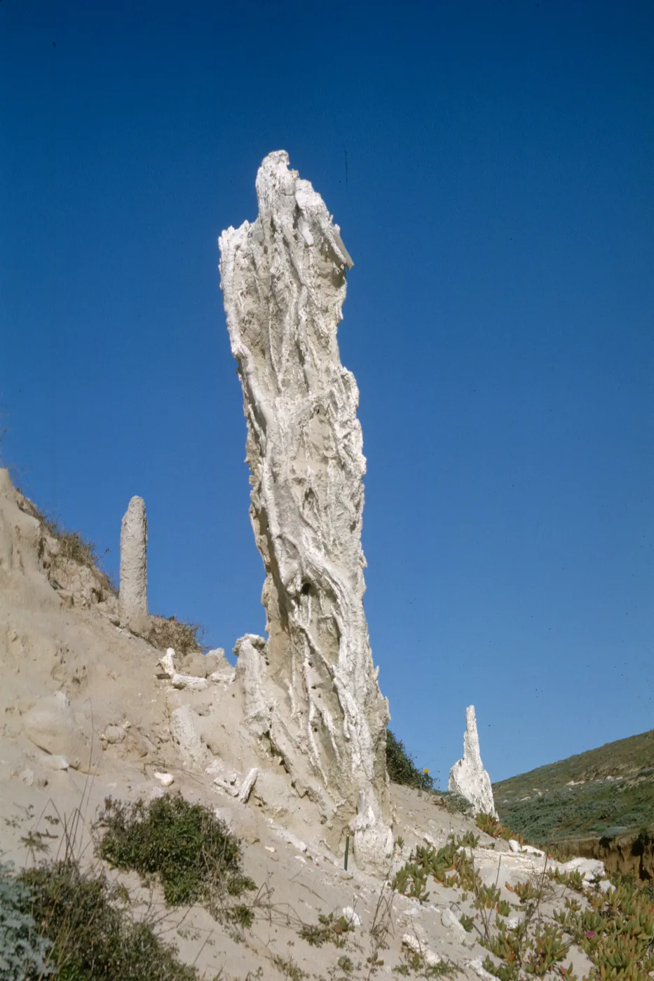 Concretion on San Miguel Island