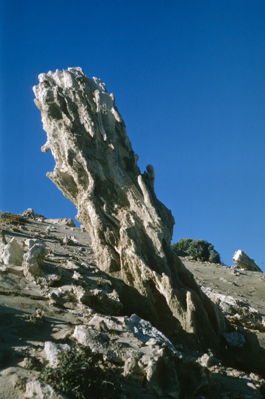 Concretions on San Miguel Island