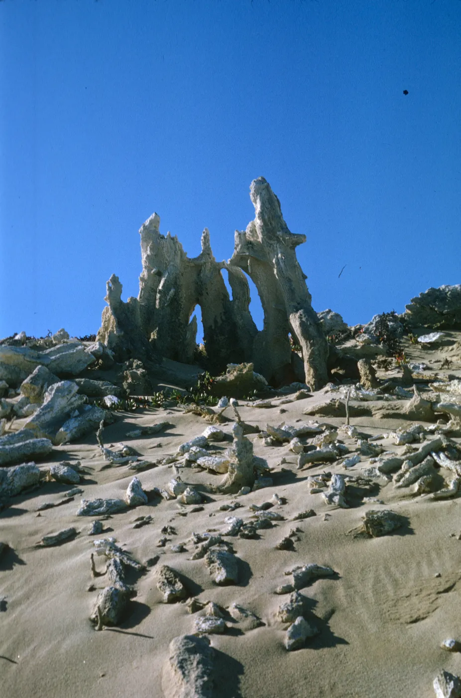 Concretions on San Miguel Island