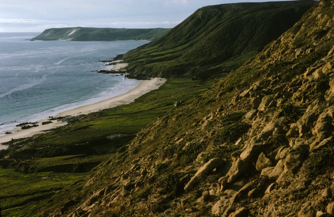 Black Point, San Miguel Island