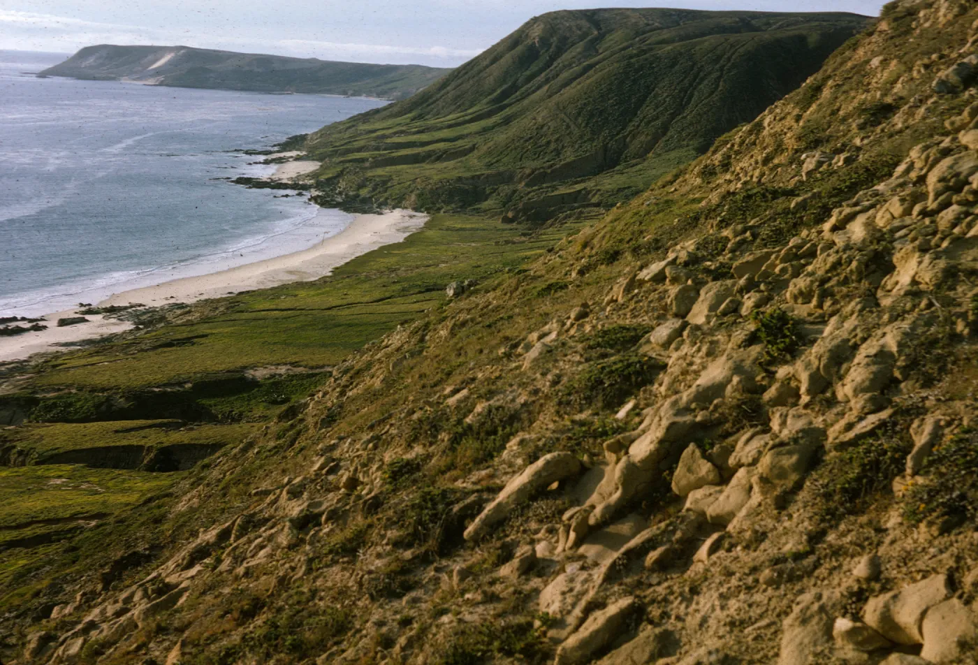 Black Point, San Miguel Island