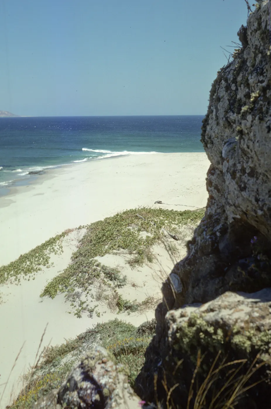 Cardwell Point, San Miguel Island