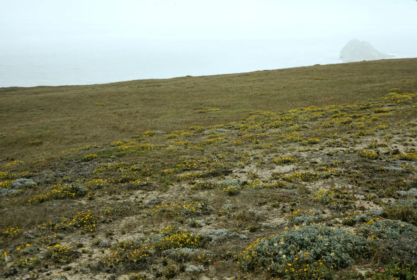 San Miguel Island