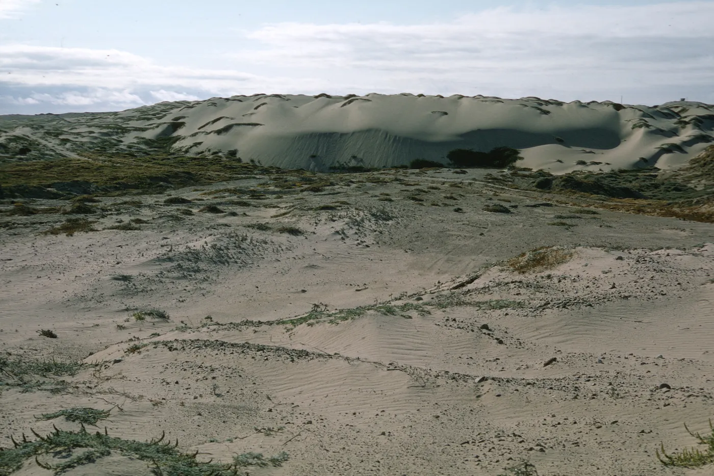 marching sand dune on San Nicolas Island
