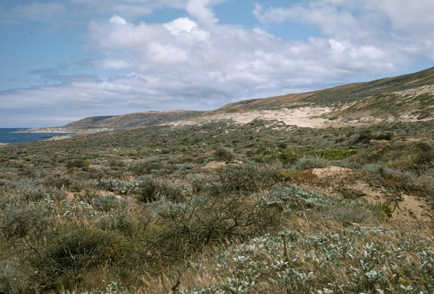 San Nicolas Island