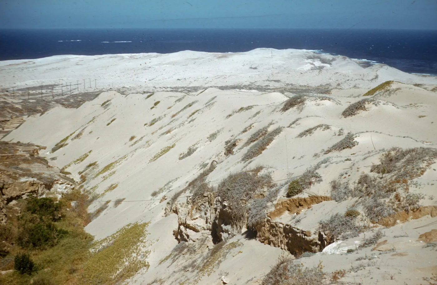 San Nicolas Island sand dune