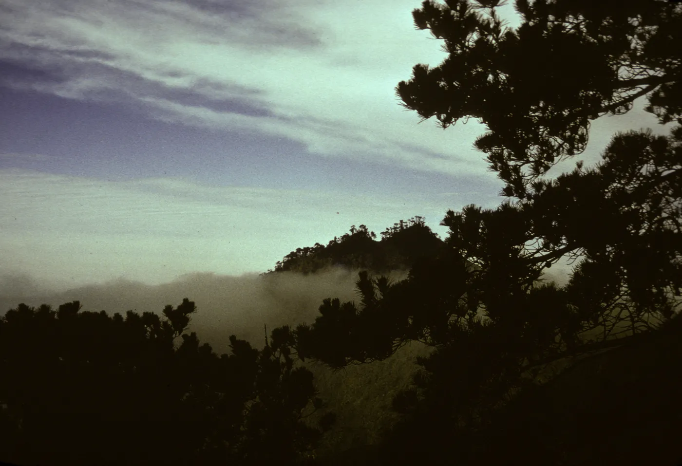 Cedros Island, extreme north peak